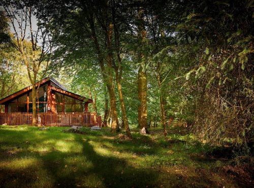 Beddgelert Cabins, Snowdonia - Forest Holidays