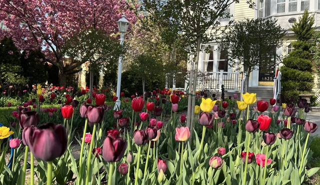 Bedham Hall Bed & Breakfast