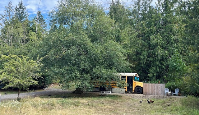 Bee Haven Bus at the RMR Farmstead with hot tub