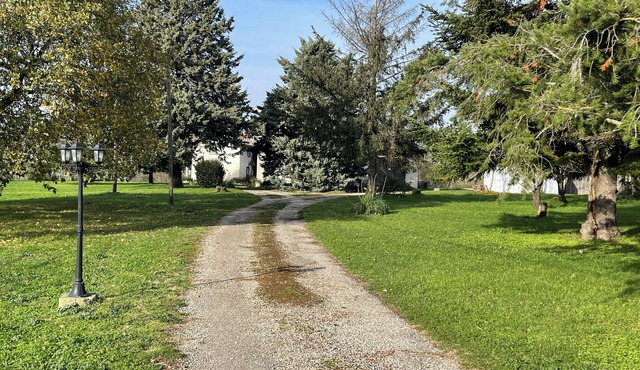 Bee On The Tree - A gentle break in the heart of nature and orchards