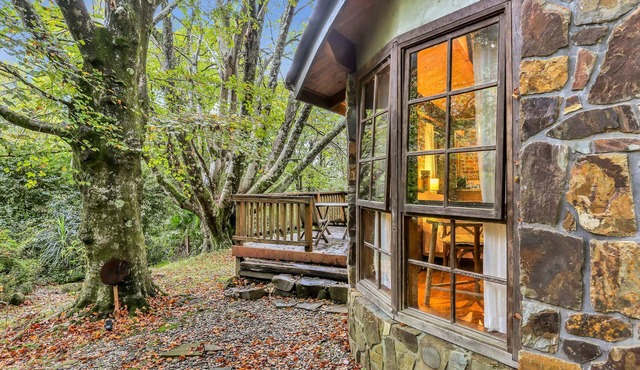 Beech - 2 Perrins Creek Rd Olinda