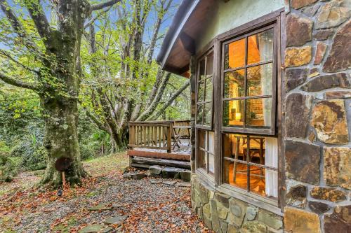 Beech - 2 Perrins Creek Rd Olinda