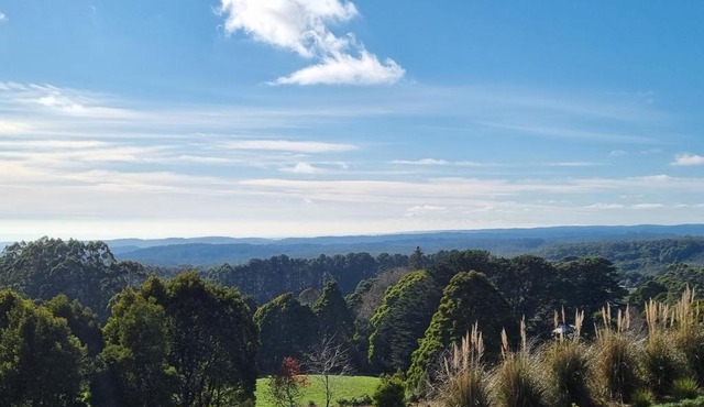 Beech Forest Cottage (Cozy Otways Accommodation)