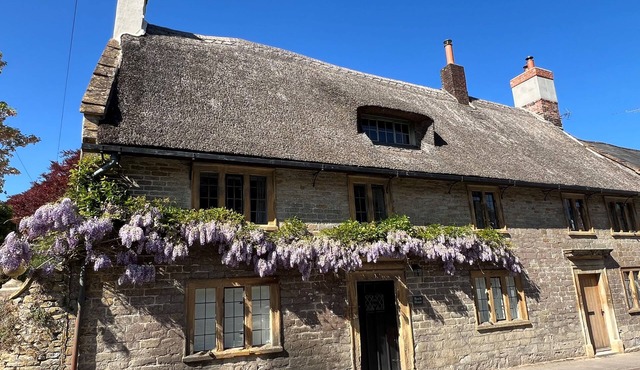 Beech House - sleeps 9 guests in 5 bedrooms