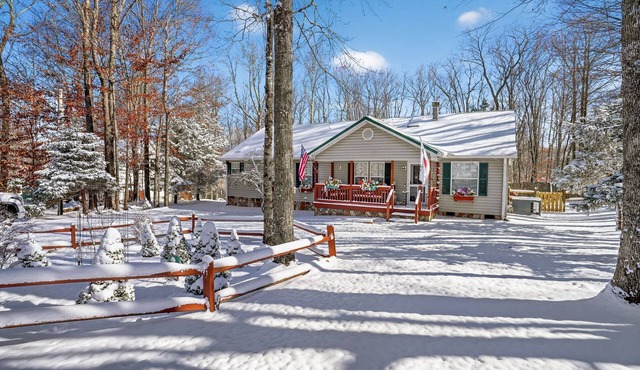 Beech Mountain Cabin w/Fire Pit & Views