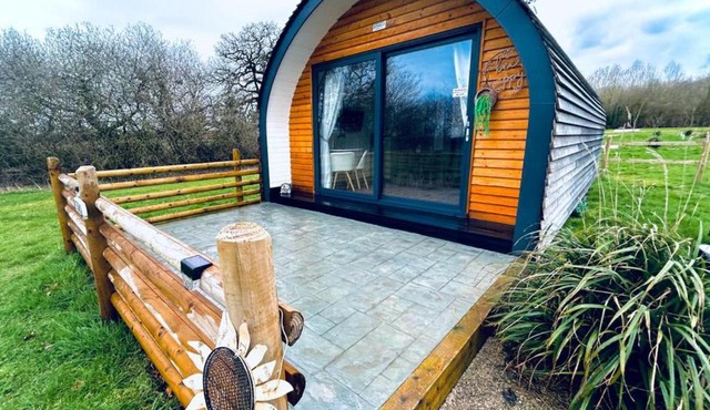 Beech Pod Cabin in beautiful surroundings Wrexham