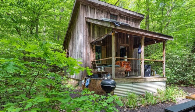 Beech Timber- Off Grid, Fire Pit, Outdoor Shower