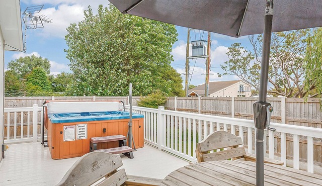 Beech Tree 3 Premier