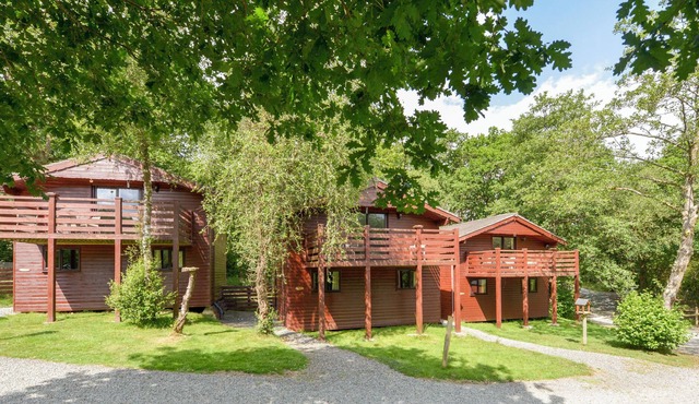 BEECH TREE, family friendly in Halwill Junction