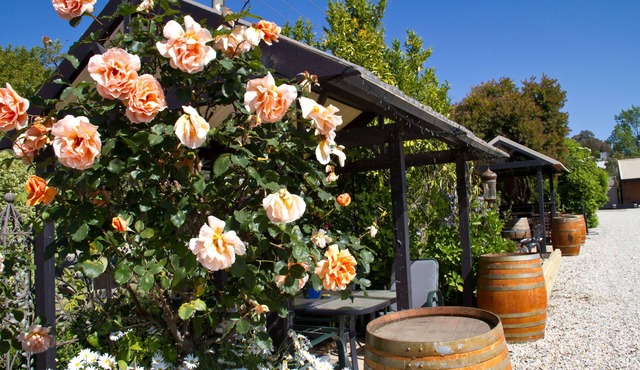 Beechworth on Bridge