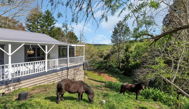 Bees Knees Cottage Retreat - Oromahoe Holiday Home