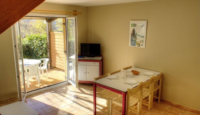 Begonia - LA BOLLENE-VESUBIE