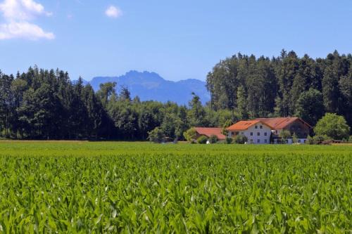 Beim Lenglacher in Chieming