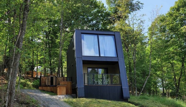 Bel Air Tremblant SKY LOFT : 1 CHAMBRE, JACUZZI, SAUNA