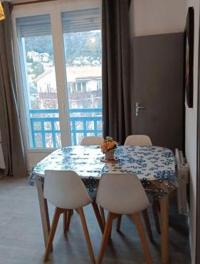 Bel appartement près d'Amélie-les-Bains avec jardin