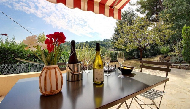 Bel Appart 50 m2 Dans le Site Classé de Mougins, Clim Terrasse