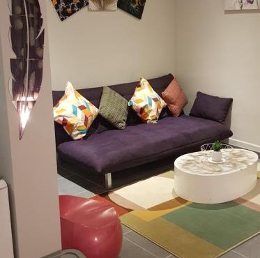 Bel appart moderne Roanne