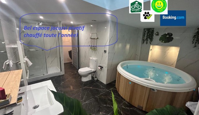 Bel appart stylé avec jacuzzi