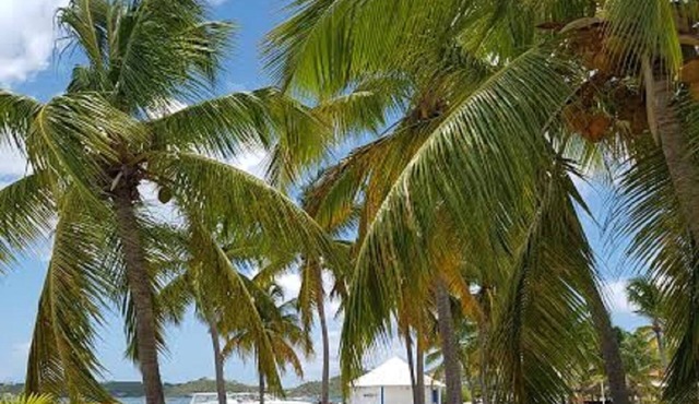 Bel Appartement Avec Terrasse au Coeur de Baie Nettlé