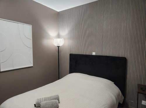 Bel Appartement Centre-Ville