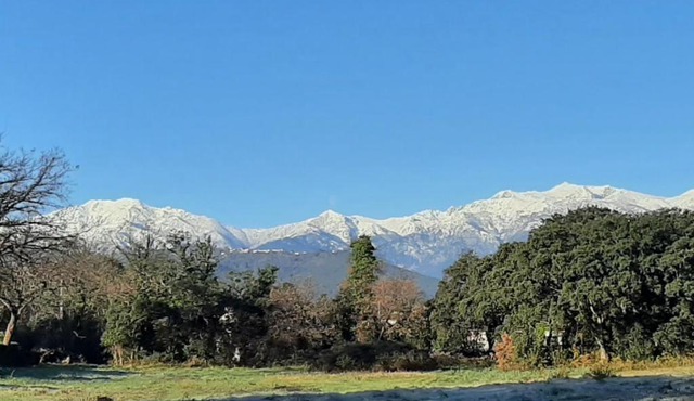 Bel appartement Corse côte Est