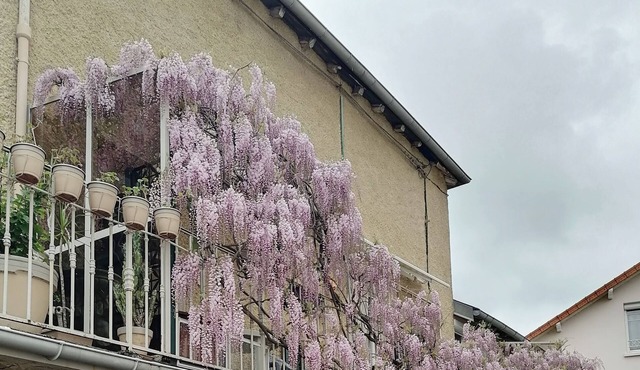 Bel Appartement Dans Petite Copropriété