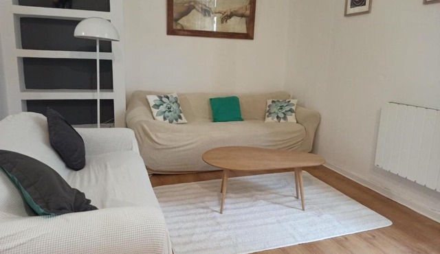 Bel appartement plein centre historique