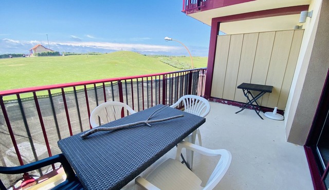 Bel appartement T2 Cabine en front de mer (041)