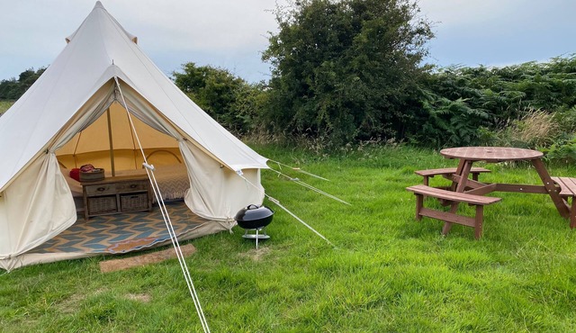 Bell Tent , Carreglwyd Estate, Anglesey