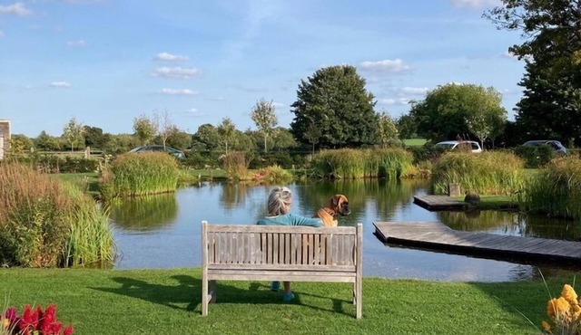 Bell Tent Glamping: 2 Tents (5m diameter)