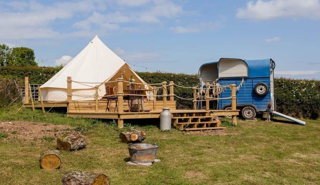 Bell Tent - in a glorious Devon vineyard