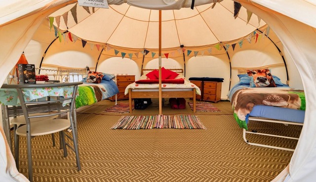 Bell Tent in Devon with Countryside Views