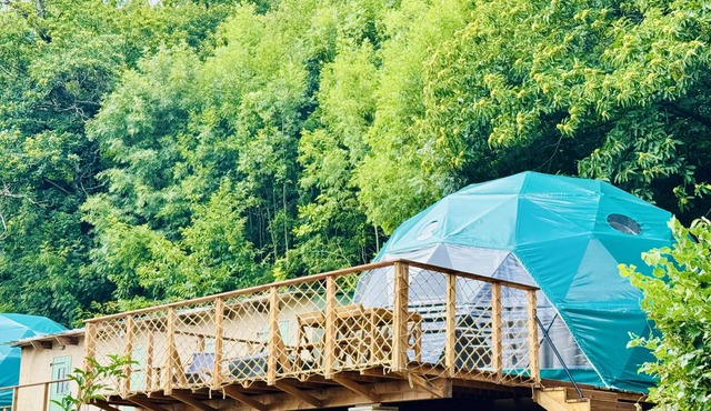 Bella Dome - Cosy dome with panoramic mountain views, surrounded by beautiful nature