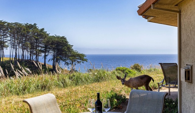 Bella Vista by the Sea - Ground Level with a View on the North Bluff.