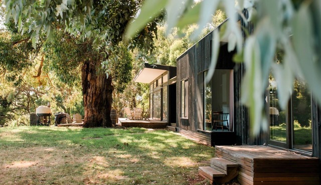 Bellas Block overlooking the vines