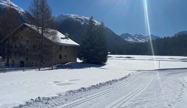 Bellavista Suite, directly on the cross-country ski slopes and 15 minutes from Sank Moritz