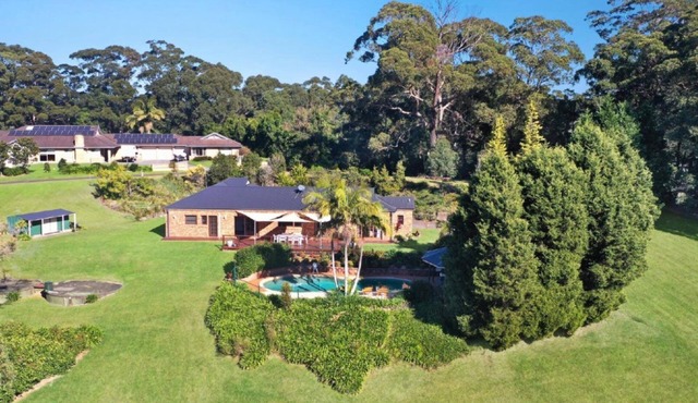 Bellbird Escape - Listen to the Bellbirds