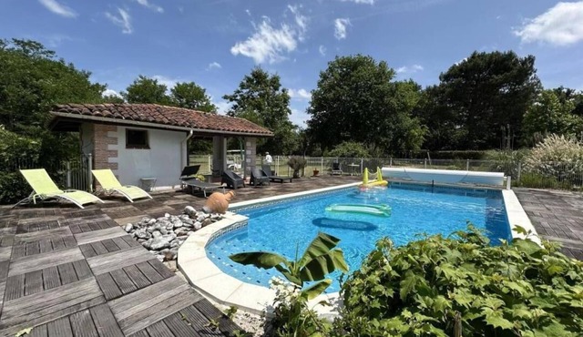 Belle de Jour - Mezos