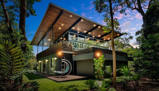 Belle Escapes Rainforest Shore