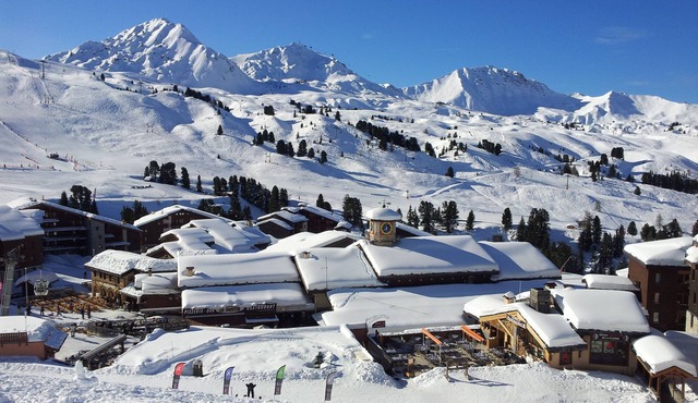 BELLE PLAGNE, cosy 2 rooms, skis on/cleaning and covered parking included !