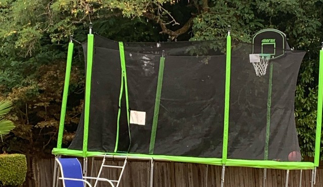 Bellevue DownTown - Entire House sleeps 8