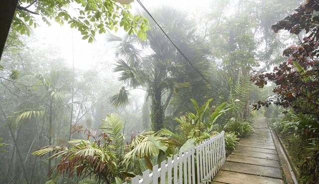 Bellevue The Penang Hill Hotel, Bukit Bendera