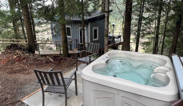Bellingham Treehouse w/Waterfall, View, & Hot Tub