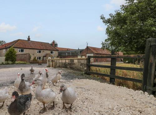 Bellmanear Farm Cottage