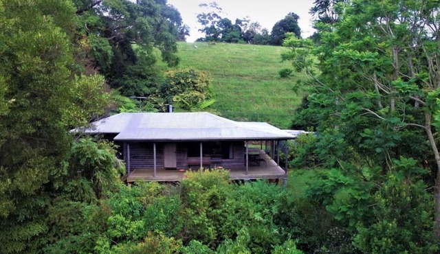 Bellthorpe Stays - Cottage: waterfalls, rainforest, wildlife and walking tracks.