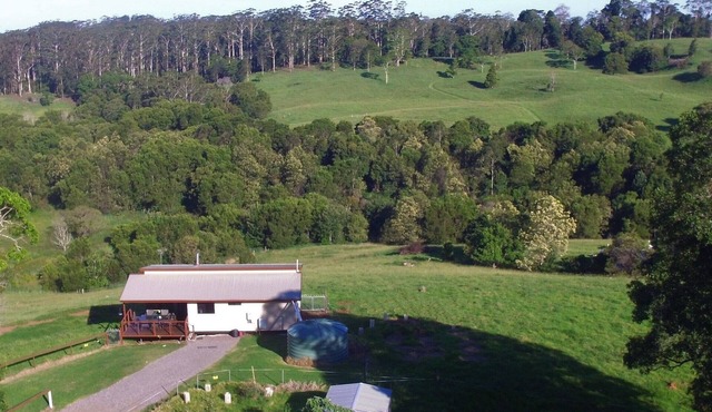 Bellthorpe Stays - Whipbird Cabin: nature's favourite place, pooches allowed.
