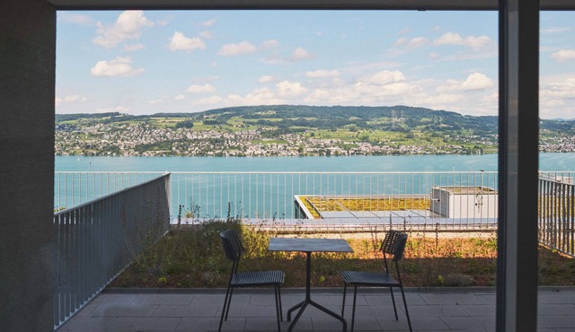 Belmont Residences lakeview Horgen