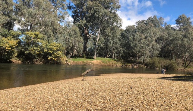Beltie Park Homestead