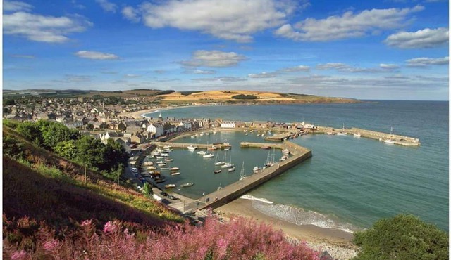 Belvedere Guest House