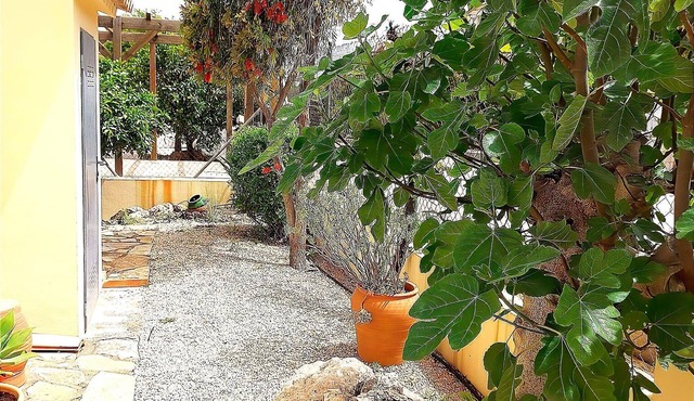 Belvilla by OYO Casa Palmera
